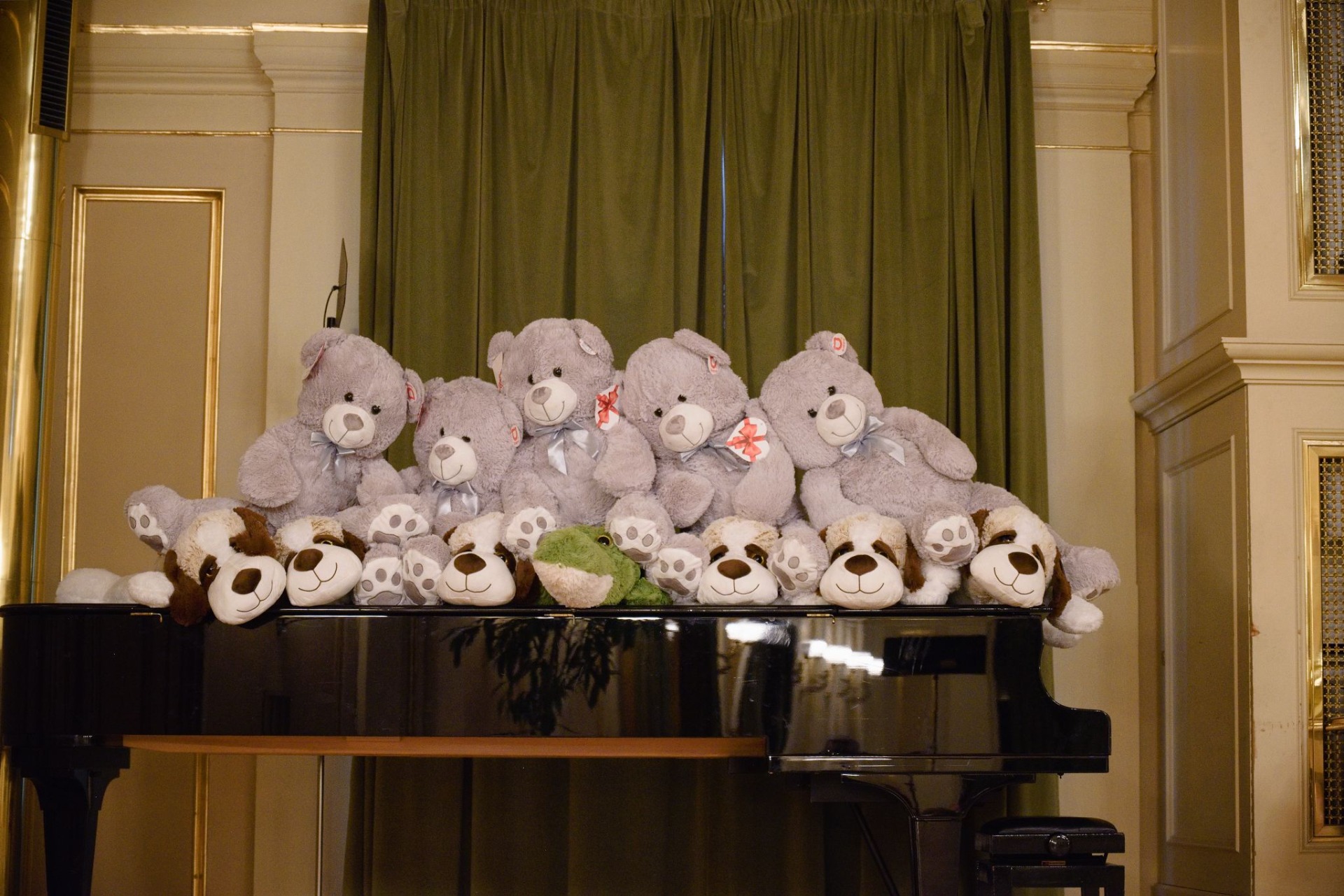 Koncert laureátů / Winners concert